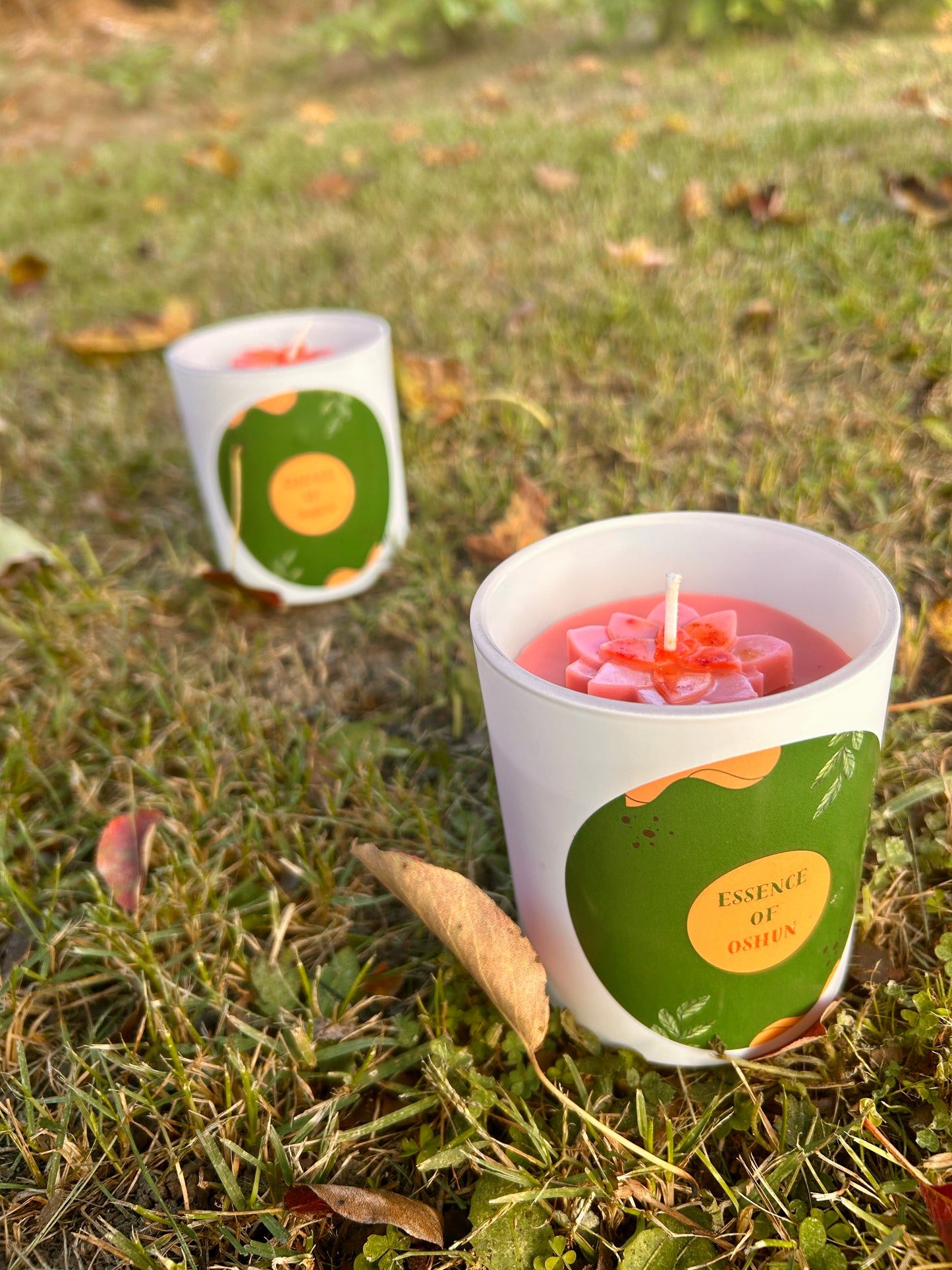 Shanti Chai