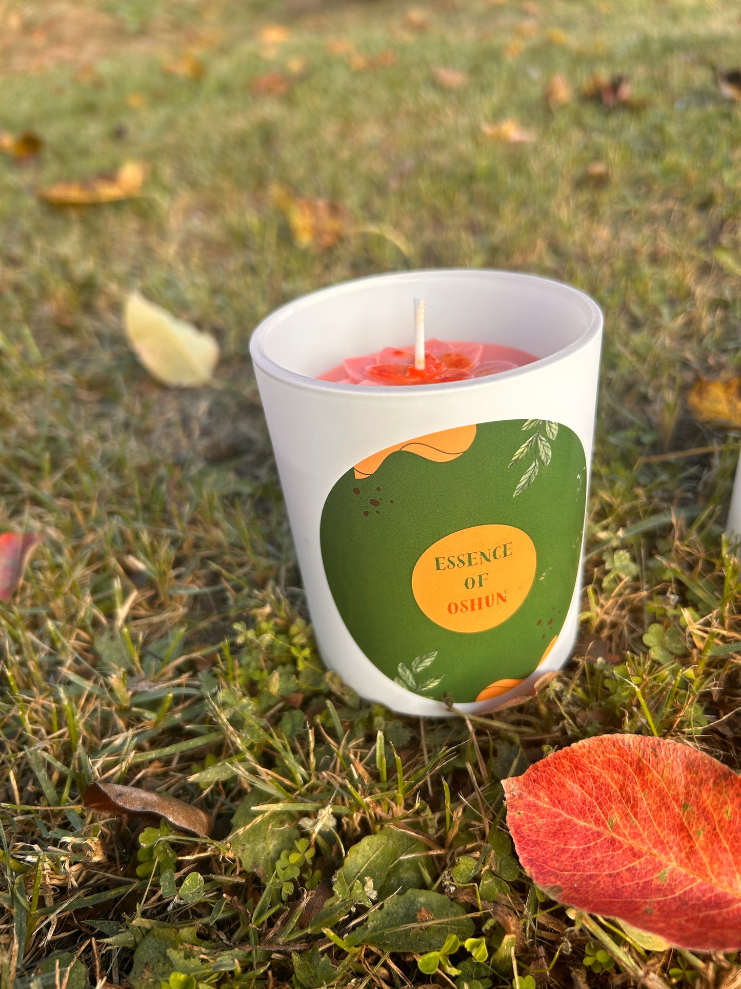 Shanti Chai