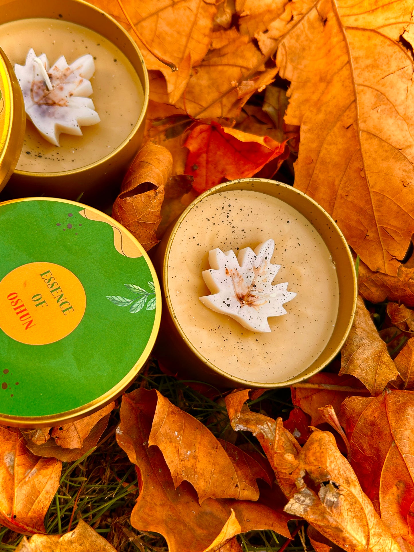 Bhava mellow