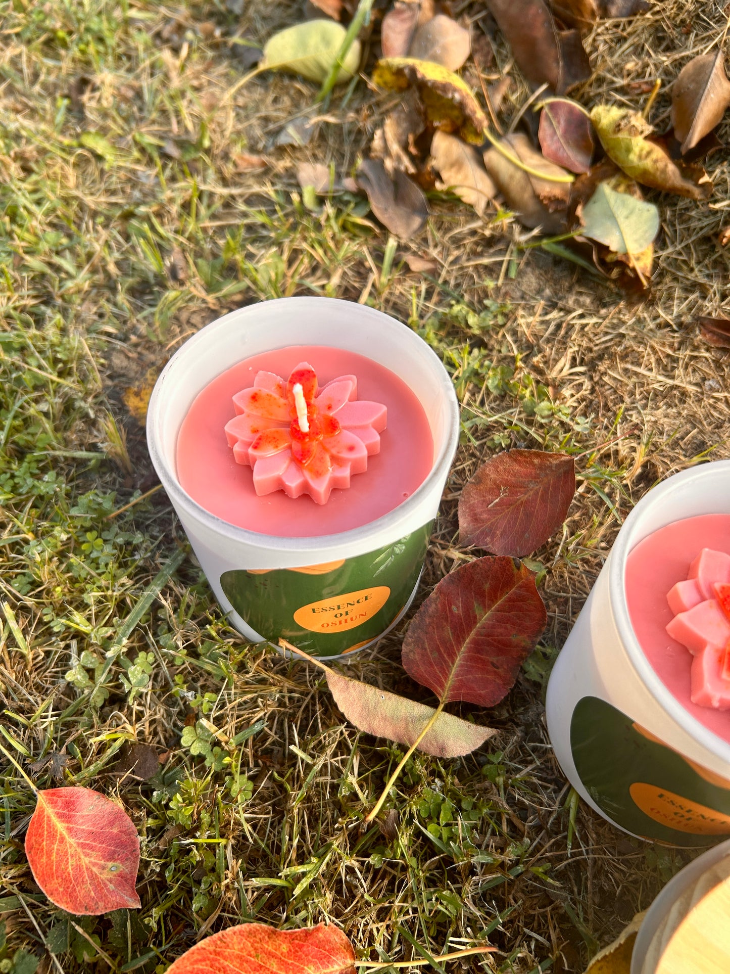 Shanti Chai